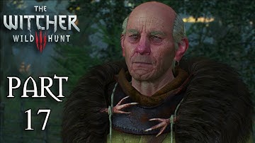 The Witcher 3 Wild Hunt Gameplay Walkthrough Part 17 - A Princess In Distress (Xbox One)