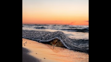 Top(S!C)retss -  ɘmoH nO ɘmoƆ