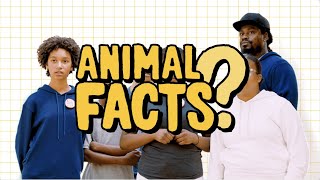 Schooled with Marshawn Lynch: Animal Facts | Allbirds