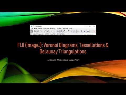 FIJI (ImageJ): Voronoi Diagrams, Tessellations & Delaunay Triangulations