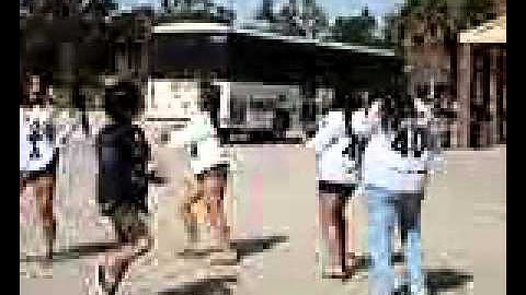 Epsilon Chapter of Delta Phi Lambda performing at MSU Yard Show 2009