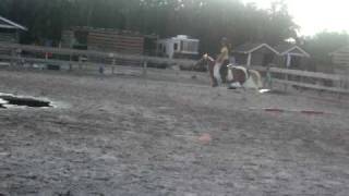 Molly Flat Work