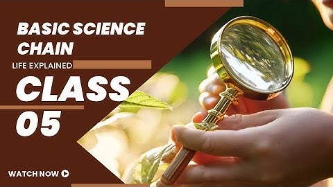 First bell 3.0 std 05 Basic science OTTAYALLORU JEEVITHAM Epi 3 1