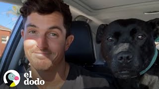 Perro rescatado grita cada vez que va a la playa | El Dodo