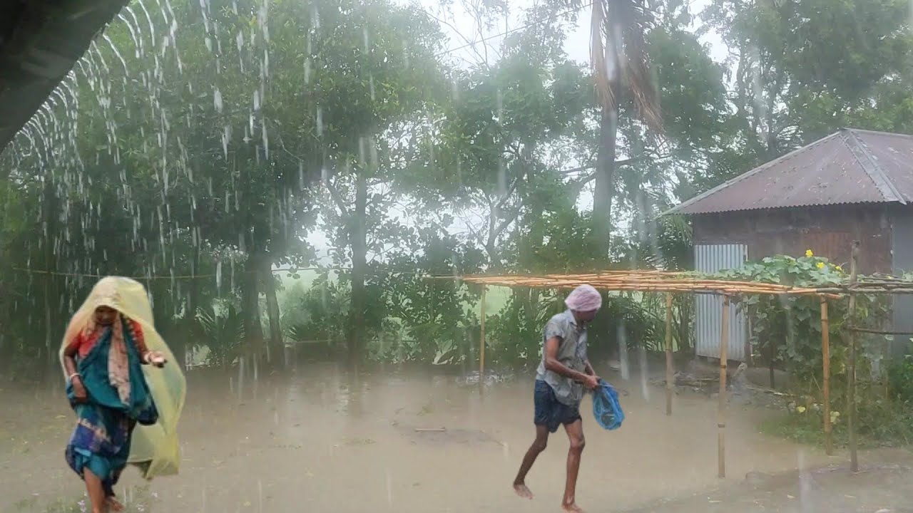 wonderful rainy season in Bangladesh ⛈️village rainy day🌱small village family