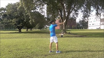 Quick DJI Spark Gesture Tutorial + Enabling Gesture Control in DJI App - Simple Drone Reviews