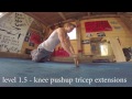 Dominik sky  ring grip push ups