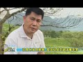 20260517 06 茶農林俊傑勇奪 高海拔製茶邀請賽季軍