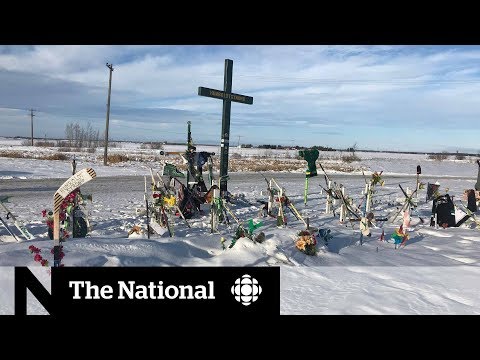 Βίντεο: Το Humboldt Broncos Bus Crash Survivor συναντά το νέο σκυλί του