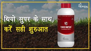 Theo Super - A powerful seed treatment insecticide - Crystal Crop Protection