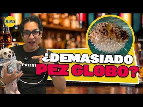 El DELFÍN no es el único… ¿Cómo se INTOXICAN los ANIMALES SALVAJES?