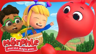 Morphle And His Magic Friends Have A Perfect Day! | Fun With Morphle! | Morphle And The Magic Pets