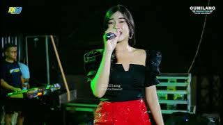 MH69 MUSIC - MEMELUK ANGIN - BUNGA PERMATA - PARTY IPP BERSATU - DADIREJO MARGOREJO PATI