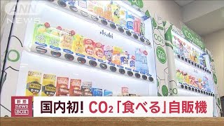 CO2を“食べる”自販機が初登場　スギ20本分を吸収　実証実験へ(2023年5月9日)