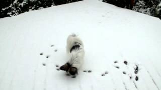 20110307 1022 949030744b6fc7c7e7dc810087efa809
