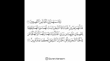 القارئ ماهر المعيقلي - سورة الأعراف - من الآية 21 إلى الآية 22