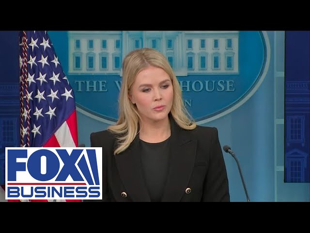 White House press briefing with Karoline Leavitt and a 'special guest'
