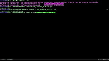 Upload and Share Photos to MAGAimg Linux Shell Script BASH Tutorial Part 2