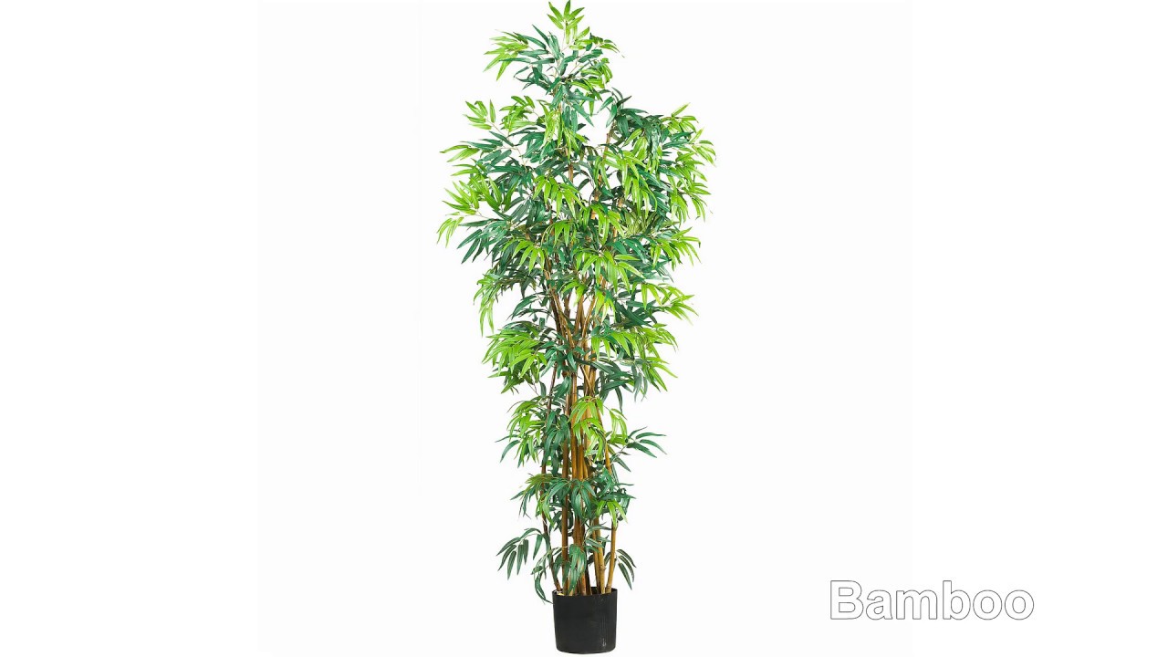 Best Artificial Palm Trees (Indoor & Outdoor) ★ ★ ★ ★ ★ 