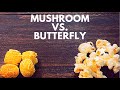 Les types de grains de popcorn  champignon et papillon
