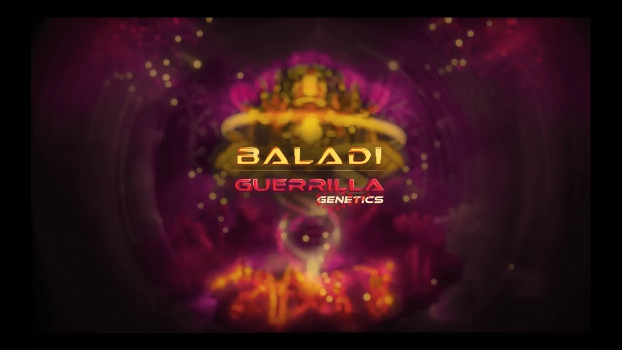 Watch Guerrilla - Baladi on YouTube Watch Guerrilla - Baladi on YouTube