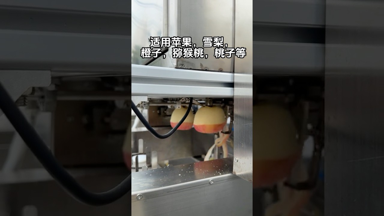Automatic fruit peeling machine