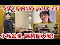 【Gafu-ten in 2022!】Introducing Small Bonsai to be exhibited! Juniper has twice fun on both sides.