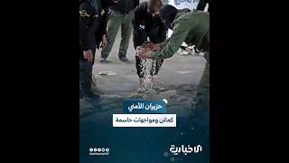 كمائن محكمة وحملات متزامنة.. حصيلة حزيران في مكافحة المخدرات