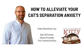How to Alleviate Separation Anxiety in Your Cat