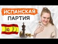 Все схемы Испанской партии за полчаса! Основы дебюта в шахматах.