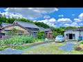 4k japan walk  countryside village  neighborhood walking tour in nisshin city aichi 1762021 1