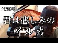 君は悲しみの イルカ(1976年)耳コピピアノアレンジ【めぐ先生】スタインウェイグランドピアノ