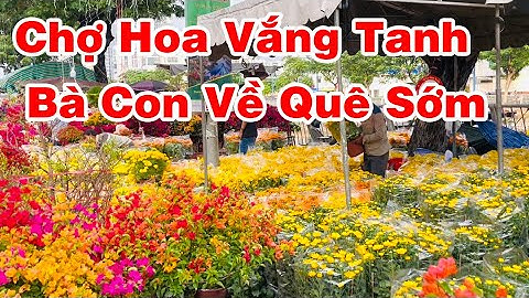 Chợ Hoa Sáng  Ngày Cuối Cùng 29 Tết,Xót Thương Bà Con Bán Hoa Không Được Về Quê Ăn Tết Sớm/KNT39