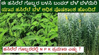 ಹಸಿರೆಲೆ ಗೊಬ್ಬರ ಬೆಳೆ / ಸೆಣಬು, ಅಲಸಂದೆ, ಡಯಾಂಚ / Green Manure fertilizer plants in kannada