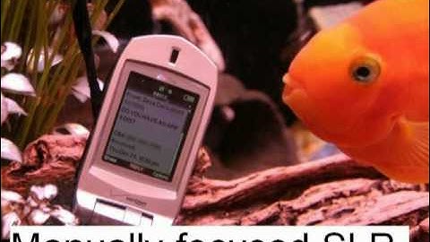 You Got an App For This?