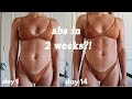 Abs in 2 Weeks?! I did the Chloe Ting 2 week shred challenge