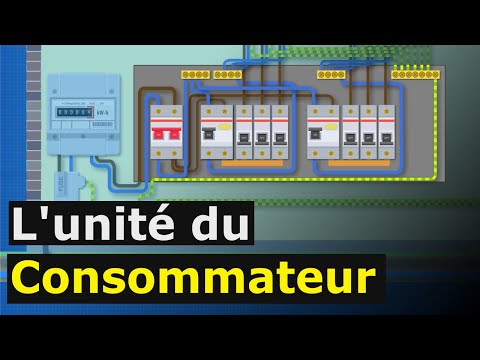 Vidéo: Comment utiliser tout-consommateur ?