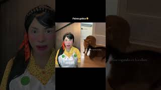 Pelos reacciona al video “pobres gatitos” 🐈‍⬛ 😆😆