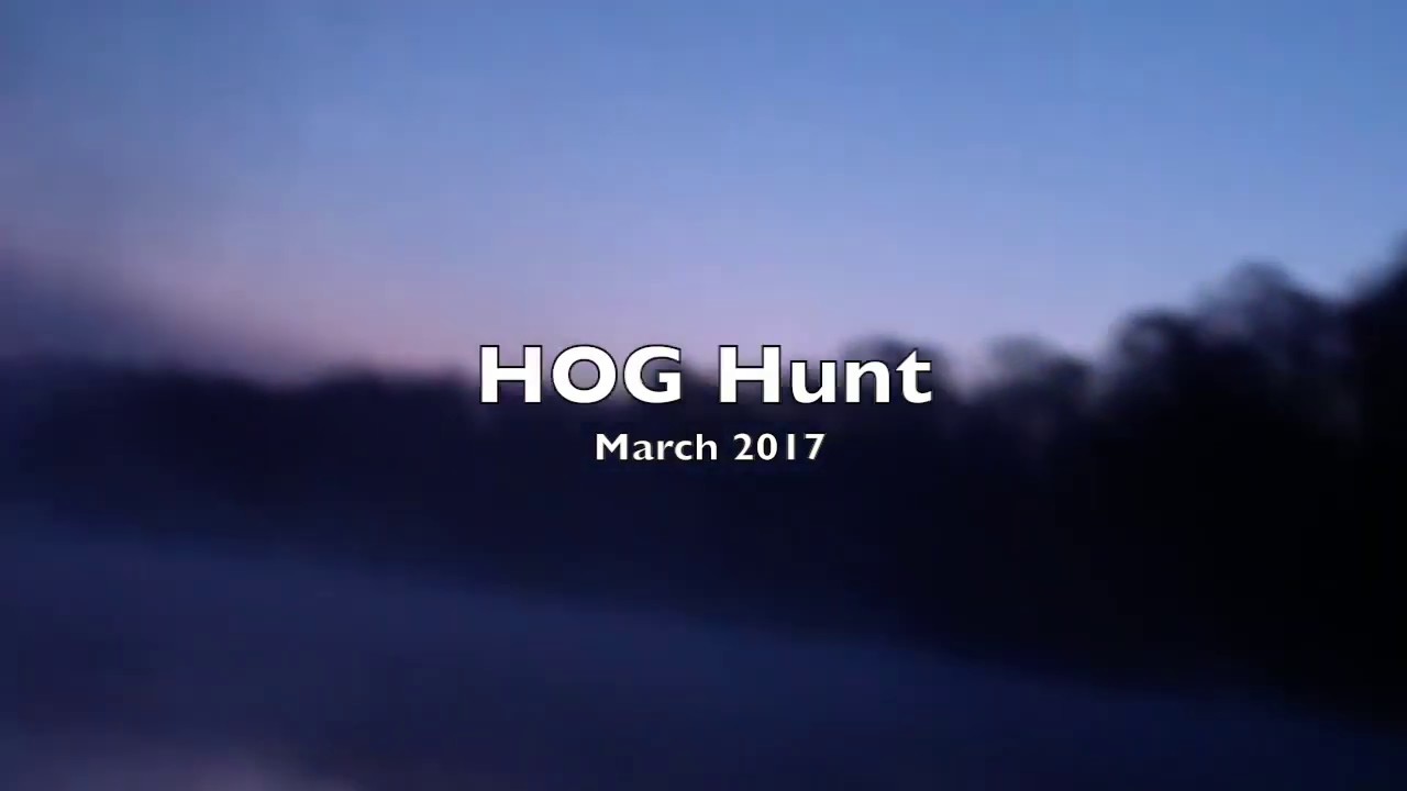 2017 Hog Hunt Savannah, YouTube