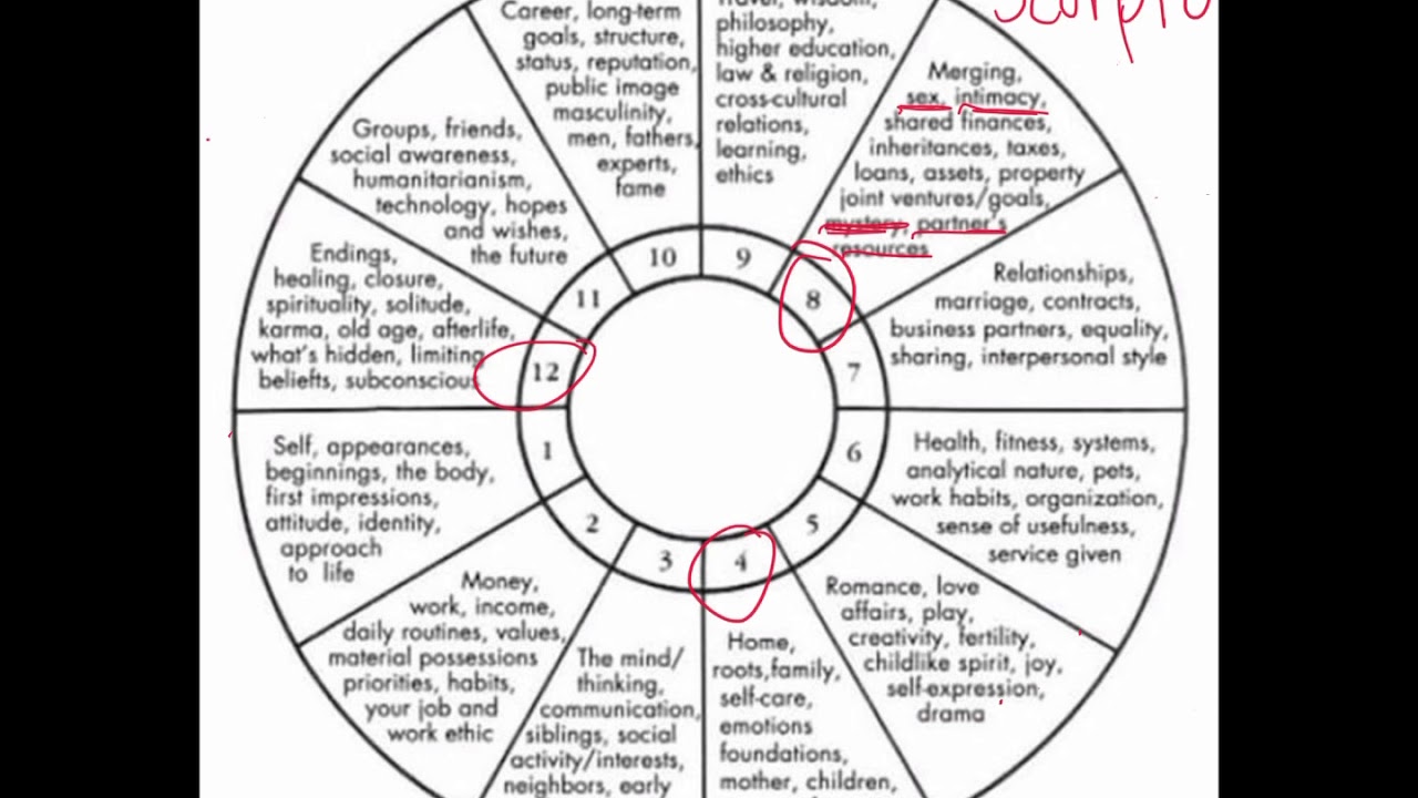 how-to-read-a-birth-chart-houses-in-astrology-youtube