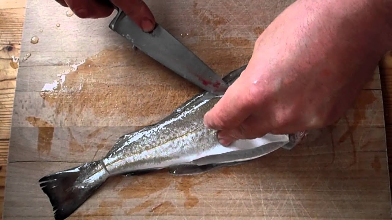Filleting A Whiting. Cooking Fish YouTube