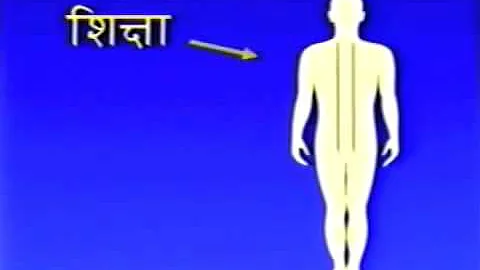 40 aspect of Veda and Vedic Literature in the huma...