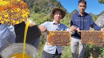 Bí Thư Già bất ngờ với trại mật ong hoa bạc hà khủng thu hàng trăm triệu khiến ai cũng bất ngờ