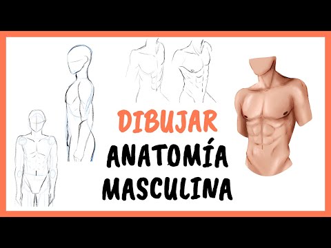 Video: Cómo Dibujar Un Cuerpo Masculino