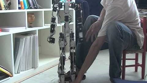 Mechanical Structure in Acroban the Humanoid