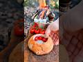 Street Food Style Chicken Doner… But in Nature!