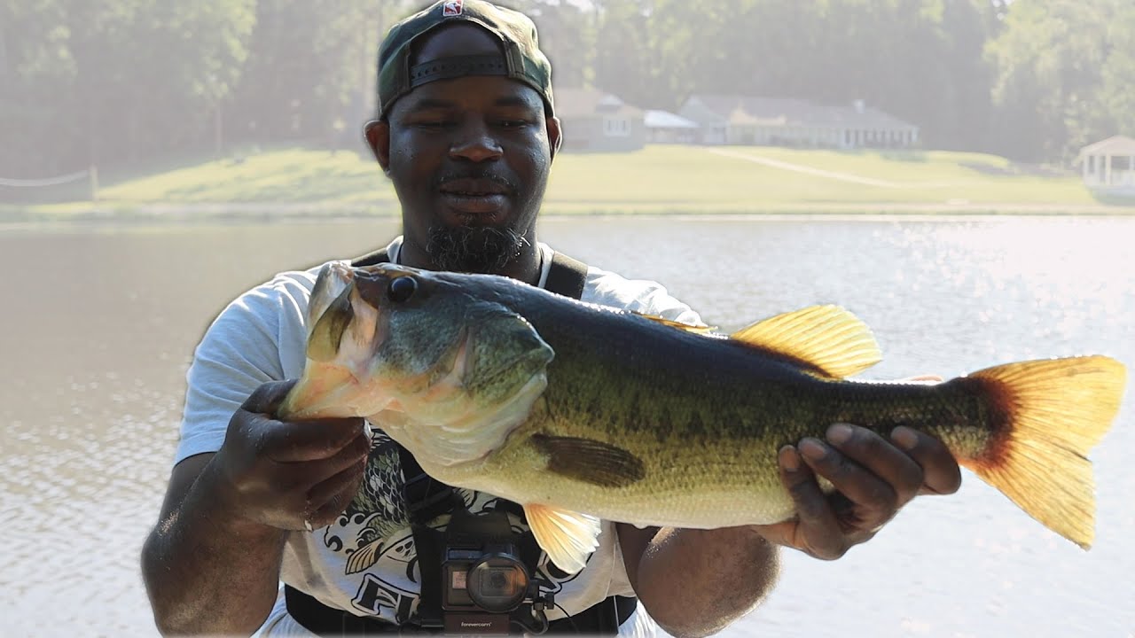 BIG BASS Crushes the JACKHAMMER CHATTERBAIT