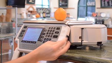 Deli Scale, Random Weight, Scanning | IT Retail Point of Sale System