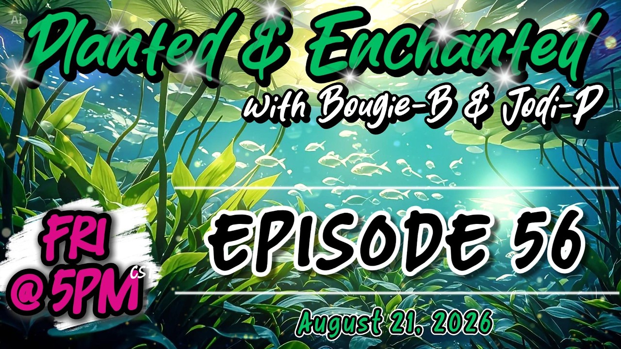 Planted & Enchanted with Bougie-B & Jodi-P - Episode 56
