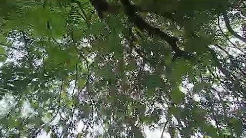 RTK delivery at Mabalacat pampanga. by Precision Survey Solution Philippines 0915-184-2914